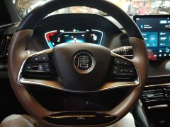 BYD Yuan Plus DM-i 112KM Premium Edition - ფოტო 6