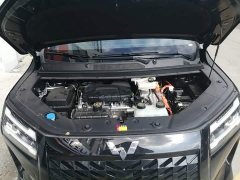 Wuling Starlight 730 New Energy PHEV 125km Luxury - photo 19