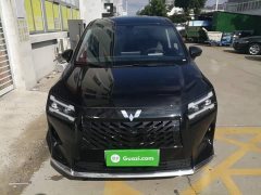 Wuling Starlight 730 New Energy PHEV 125km Luxury - photo 2
