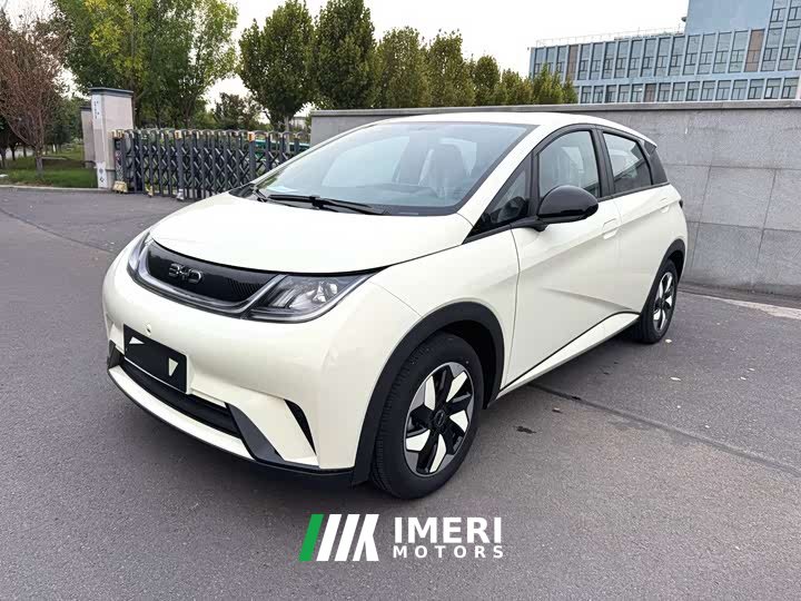 BYD Dolphin Glory Edition 420km Freedom Version - ავტომობილი ჩინეთიდან