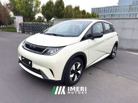 2025 BYD Dolphin Glory Edition 420km Freedom Version - ავტომობილი ჩინეთიდან