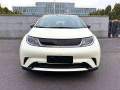 BYD Dolphin Glory Edition 420km Freedom Version - ფოტო 2