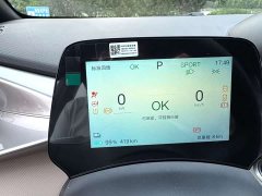 BYD Dolphin Glory Edition 420km Freedom Version - ფოტო 5
