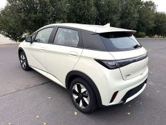 BYD Dolphin Glory Edition 420km Freedom Version - ფოტო 7