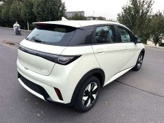 BYD Dolphin Glory Edition 420km Freedom Version - ფოტო 8
