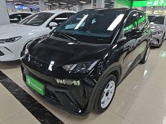 BYD Seagull Vitality Edition - фото 1