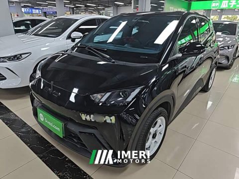 2024 BYD Seagull Vitality Edition - car from China