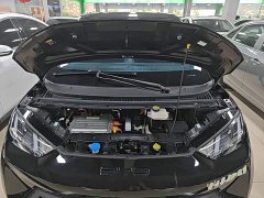 BYD Seagull Vitality Edition - фото 19