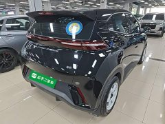 BYD Seagull Vitality Edition - фото 6