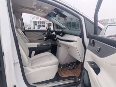 Buick GL8 New Energy Luzun Respect Edition 7-Seater - photo 3