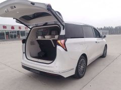 Buick GL8 New Energy Luzun Respect Edition 7-Seater - photo 5