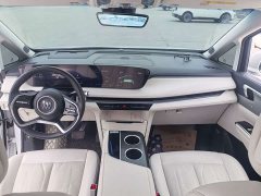 Buick GL8 New Energy Luzun Respect Edition 7-Seater - photo 9