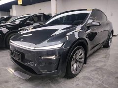Tesla Model Y Long Range All-Wheel Drive Launch Edition - photo 1