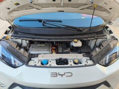BYD Seagull Glory Edition 305km Vitality Version - фото 10