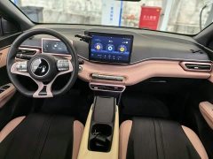 BYD Seagull Glory Edition 305km Vitality Version - фото 14