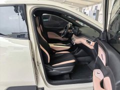 BYD Seagull Glory Edition 305km Vitality Version - фото 16