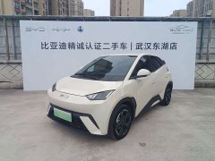 BYD Seagull Freedom Edition - ფოტო 1