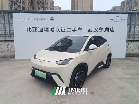 2024 BYD Seagull Freedom Edition - ავტომობილი ჩინეთიდან