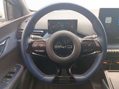 BYD Seagull Freedom Edition - ფოტო 12