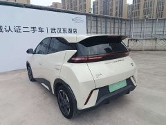 BYD Seagull Freedom Edition - ფოტო 18