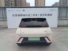 BYD Seagull Freedom Edition - ფოტო 19