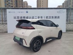 BYD Seagull Freedom Edition - ფოტო 20