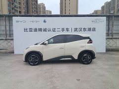 BYD Seagull Freedom Edition - ფოტო 4