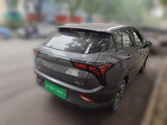 Neta V Long-Range Entertainment Edition Plus - ფოტო 4
