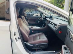 Lexus RX Facelift 300 AWD Elegance - ფოტო 10