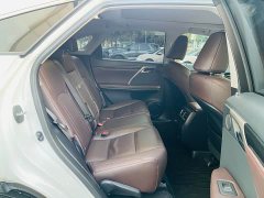 Lexus RX Facelift 300 AWD Elegance - ფოტო 11