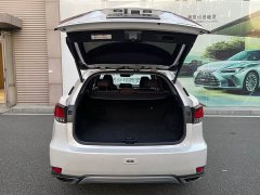 Lexus RX Facelift 300 AWD Elegance - ფოტო 17