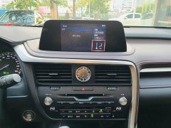Lexus RX Facelift 300 AWD Elegance - ფოტო 8