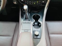 Lexus RX Facelift 300 AWD Elegance - ფოტო 9