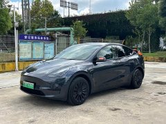 Tesla Model Y Rear-Wheel Drive - photo 1