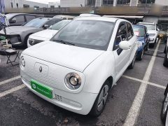 ORA Black Cat Facelift 301km Pet-Lover Edition LFP Battery - photo 1