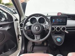 ORA Black Cat Facelift 301km Pet-Lover Edition LFP Battery - photo 10