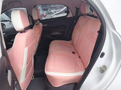 ORA Black Cat Facelift 301km Pet-Lover Edition LFP Battery - photo 16
