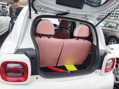 ORA Black Cat Facelift 301km Pet-Lover Edition LFP Battery - photo 18