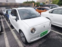 ORA Black Cat Facelift 301km Pet-Lover Edition LFP Battery - photo 3