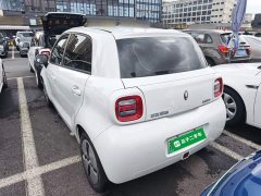 ORA Black Cat Facelift 301km Pet-Lover Edition LFP Battery - photo 4