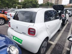 ORA Black Cat Facelift 301km Pet-Lover Edition LFP Battery - photo 6