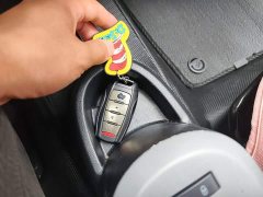 ORA Black Cat Facelift 301km Pet-Lover Edition LFP Battery - photo 8