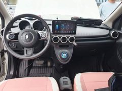 ORA Black Cat Facelift 301km Pet-Lover Edition LFP Battery - photo 9