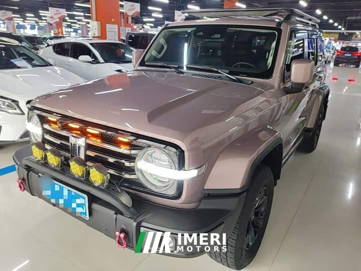 Tank 300 City Edition 2.0T Stylish - car from China