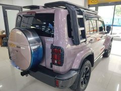 Tank 300 City Edition 2.0T Stylish - photo 6