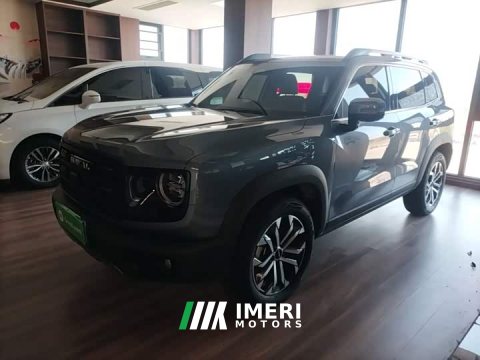 2025 Great Wall Dachshund 1.5T DCT Border Collie Edition - car from China