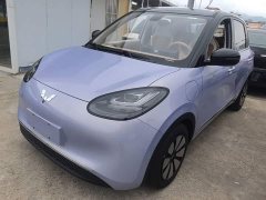 Wuling Binguo 333km Joy Edition - ფოტო 1