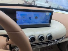 Wuling Binguo 333km Joy Edition - ფოტო 12