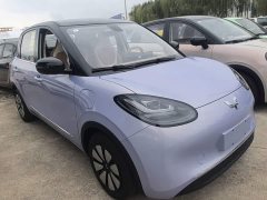 Wuling Binguo 333km Joy Edition - ფოტო 3