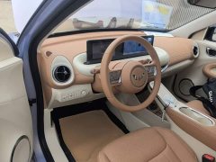 Wuling Binguo 333km Joy Edition - ფოტო 9
